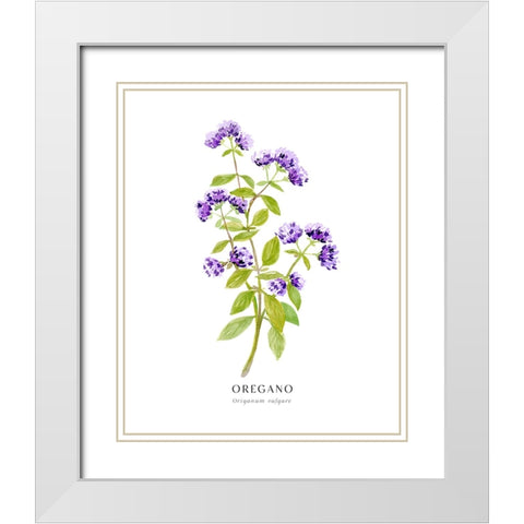 Oregano I White Modern Wood Framed Art Print with Double Matting by Laiz Blursbyai, Rosana