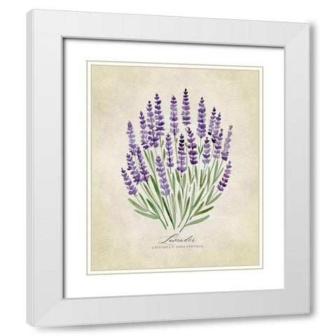 Lavender vintage White Modern Wood Framed Art Print with Double Matting by Laiz Blursbyai, Rosana