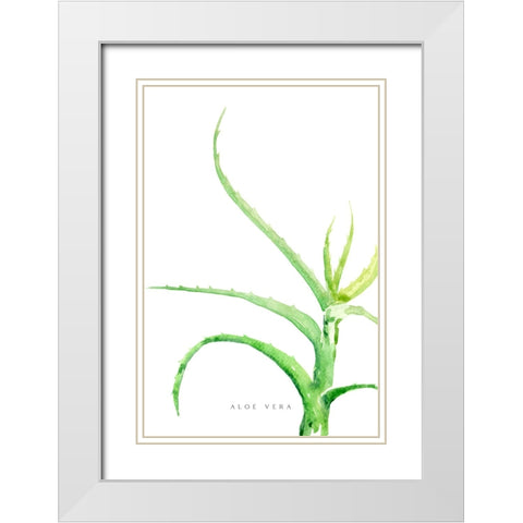 Watercolor aloe vera White Modern Wood Framed Art Print with Double Matting by Laiz Blursbyai, Rosana