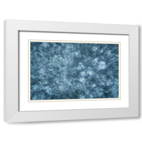 Winter Forest White Modern Wood Framed Art Print with Double Matting by Krier, Guy