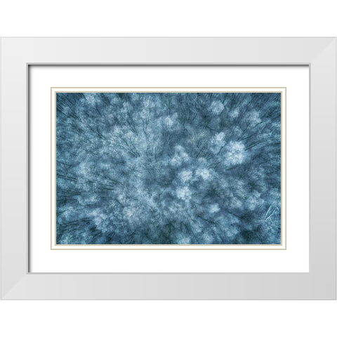Winter Forest White Modern Wood Framed Art Print with Double Matting by Krier, Guy