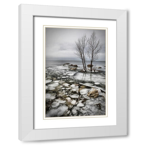 Frozen Lake White Modern Wood Framed Art Print with Double Matting by Vidak, Vedran