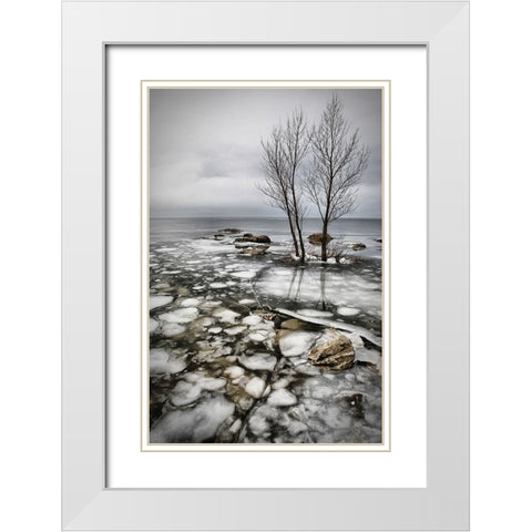 Frozen Lake White Modern Wood Framed Art Print with Double Matting by Vidak, Vedran