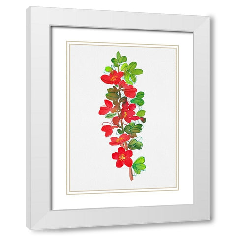 Japanese quince or Chaenomeles japonica botanical painting White Modern Wood Framed Art Print with Double Matting by Kata Botanical