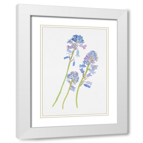 Spanish bluebell or Hyacinthoides hispanica botanical painting White Modern Wood Framed Art Print with Double Matting by Kata Botanical