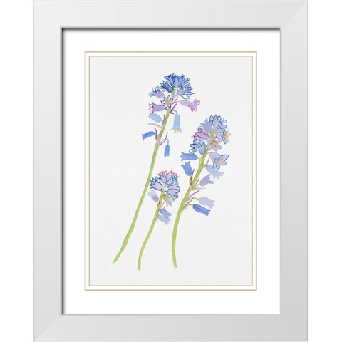 Spanish bluebell or Hyacinthoides hispanica botanical painting White Modern Wood Framed Art Print with Double Matting by Kata Botanical
