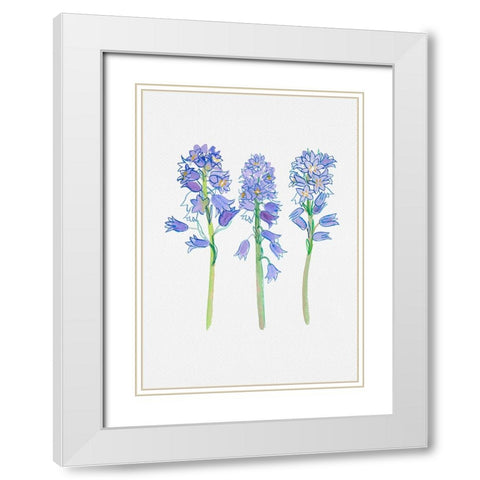 Spanish bluebell or Hyacinthoides hispanica botanical illustration White Modern Wood Framed Art Print with Double Matting by Kata Botanical