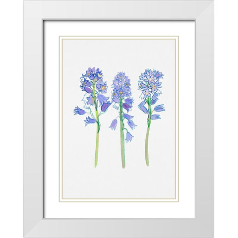 Spanish bluebell or Hyacinthoides hispanica botanical illustration White Modern Wood Framed Art Print with Double Matting by Kata Botanical