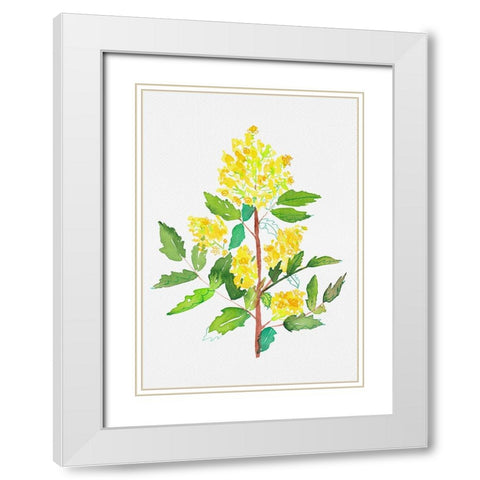 Oregon grape or Mahonia aquifolium botanical painting White Modern Wood Framed Art Print with Double Matting by Kata Botanical