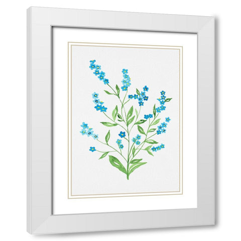 Wood forget-me-not or Myosotis sylvatica botanical painting White Modern Wood Framed Art Print with Double Matting by Kata Botanical