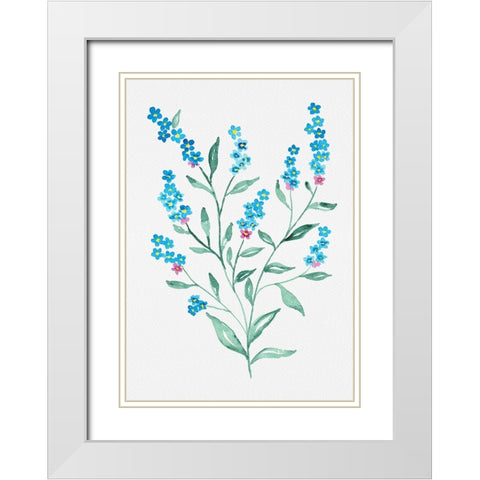 Wood forget-me-not or Myosotis sylvatica botanical painting White Modern Wood Framed Art Print with Double Matting by Kata Botanical