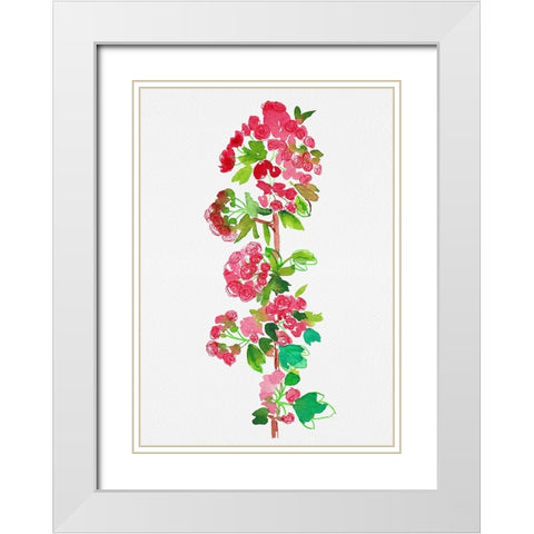 Crataegus laevigata Pauls Scarlet White Modern Wood Framed Art Print with Double Matting by Kata Botanical