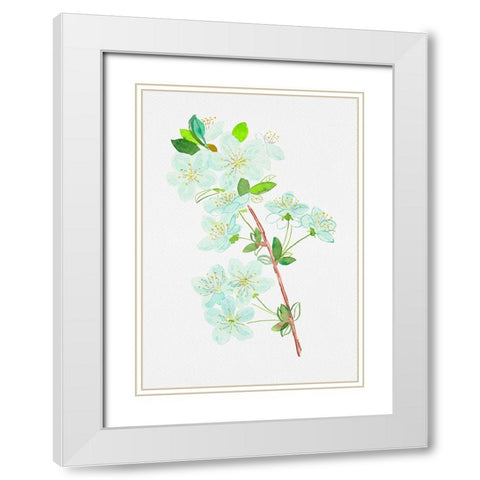 Wild cherry or Prunus avium botanical painting White Modern Wood Framed Art Print with Double Matting by Kata Botanical
