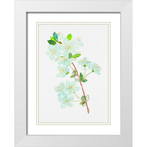 Wild cherry or Prunus avium botanical painting White Modern Wood Framed Art Print with Double Matting by Kata Botanical