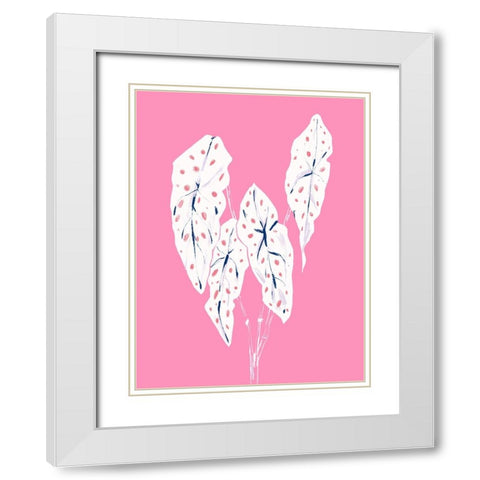 Begonia Maculata Pink White Modern Wood Framed Art Print with Double Matting by Gulina, Francesco