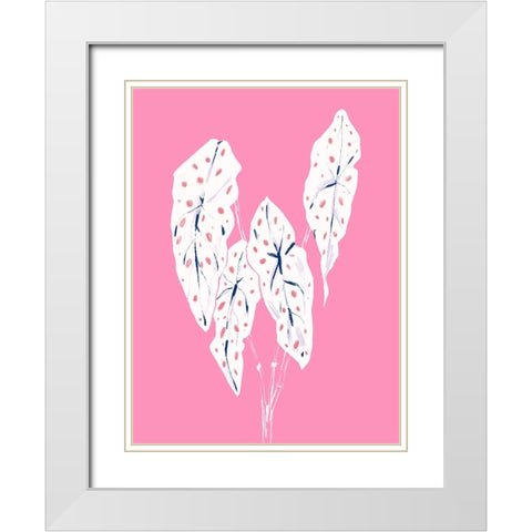 Begonia Maculata Pink White Modern Wood Framed Art Print with Double Matting by Gulina, Francesco
