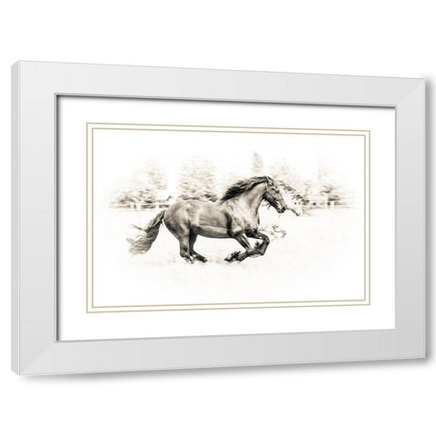The Two Friends White Modern Wood Framed Art Print with Double Matting by Graf, Sebastian