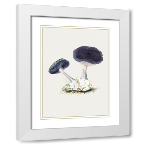 Vintage Violet Webcap Mushroom White Modern Wood Framed Art Print with Double Matting by Pictufy