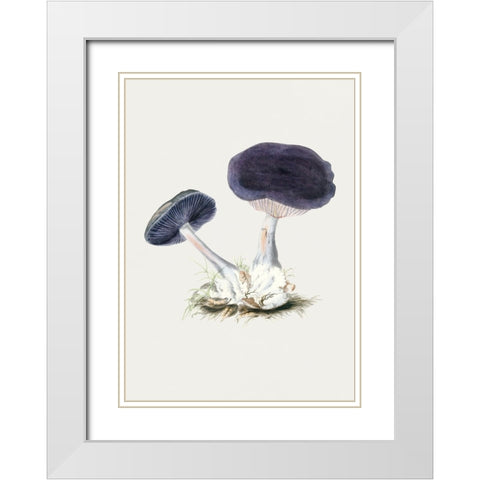 Vintage Violet Webcap Mushroom White Modern Wood Framed Art Print with Double Matting by Pictufy
