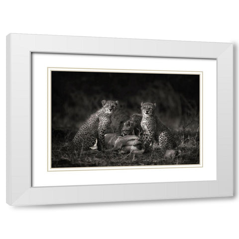 Cheetah Cubs White Modern Wood Framed Art Print with Double Matting by Moreno, Mario