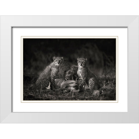 Cheetah Cubs White Modern Wood Framed Art Print with Double Matting by Moreno, Mario