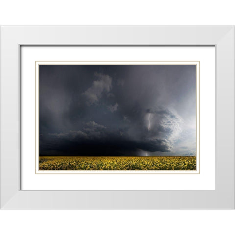 Gewitterfront White Modern Wood Framed Art Print with Double Matting by Schumacher, Nicolas