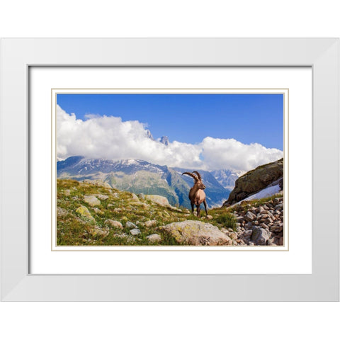 The King Of Mont Blanc White Modern Wood Framed Art Print with Double Matting by Costina, Mircea