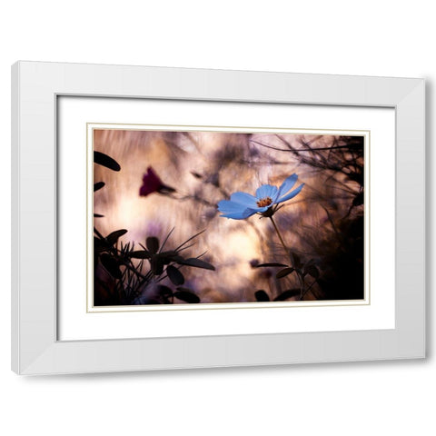 Lindiffacrence White Modern Wood Framed Art Print with Double Matting by Bravin, Fabien
