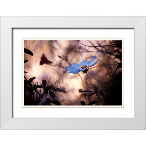 Lindiffacrence White Modern Wood Framed Art Print with Double Matting by Bravin, Fabien