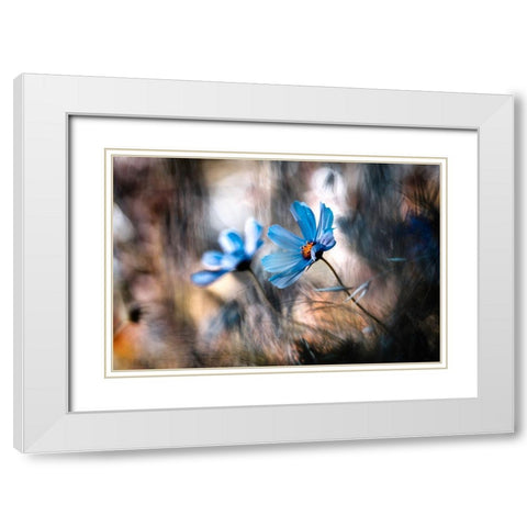 The Two Of Us White Modern Wood Framed Art Print with Double Matting by Bravin, Fabien