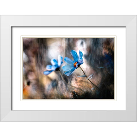 The Two Of Us White Modern Wood Framed Art Print with Double Matting by Bravin, Fabien