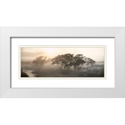 Savana Sunrise White Modern Wood Framed Art Print with Double Matting by Molteni, Nicola