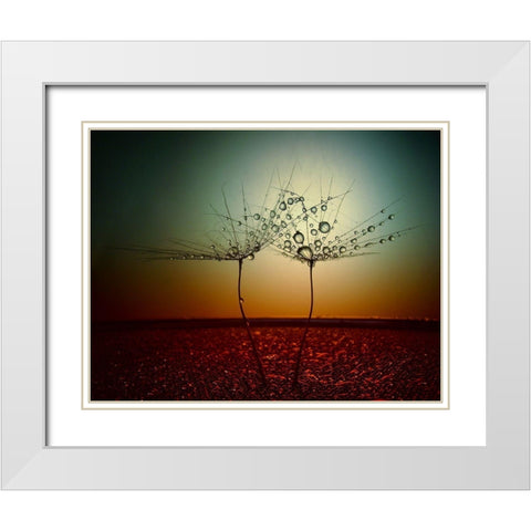 Fire And Water White Modern Wood Framed Art Print with Double Matting by Lazarov, Dimitar