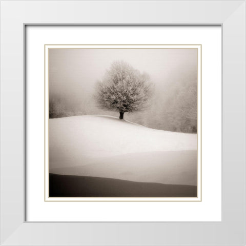 Winter Degradee White Modern Wood Framed Art Print with Double Matting by SC