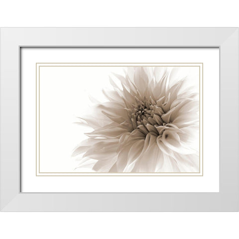 Dignified White Modern Wood Framed Art Print with Double Matting by Wettstein, Priska