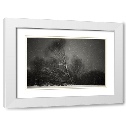 Winter White Modern Wood Framed Art Print with Double Matting by PhotoCosma