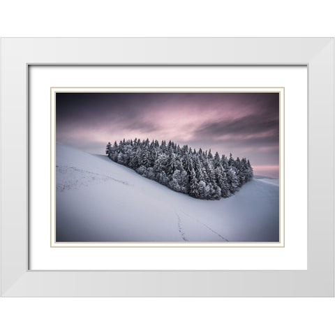 Staying Together White Modern Wood Framed Art Print with Double Matting by Wonisch, Andreas