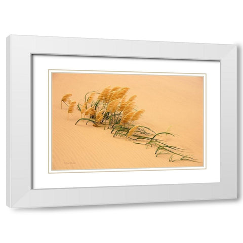 Pampas Grass In Sand Dune White Modern Wood Framed Art Print with Double Matting by Bostek, Carl
