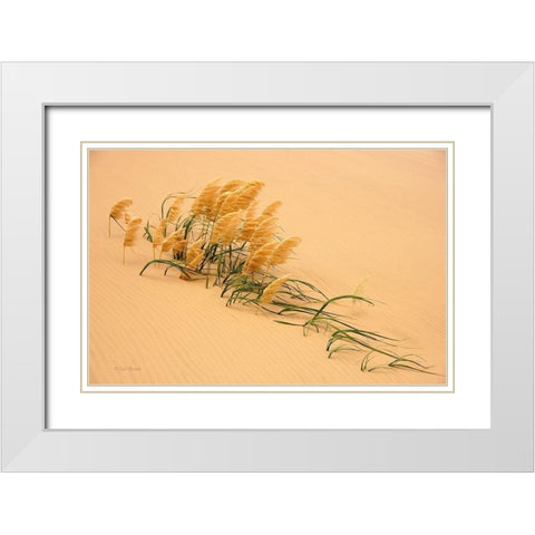 Pampas Grass In Sand Dune White Modern Wood Framed Art Print with Double Matting by Bostek, Carl