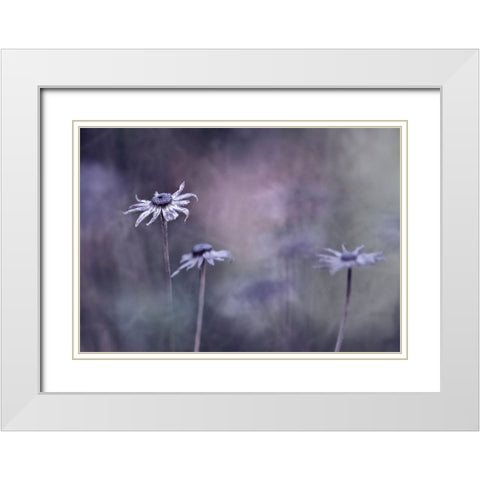 End Of Season White Modern Wood Framed Art Print with Double Matting by Heemskerk, Bernadette