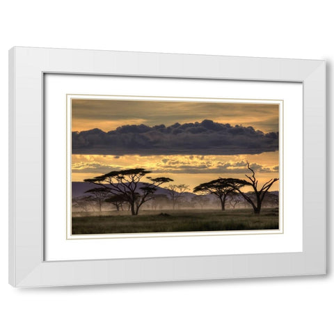 Good Evening Tanazania White Modern Wood Framed Art Print with Double Matting by Eichelberg, Amnon