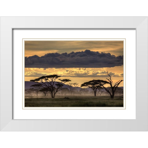 Good Evening Tanazania White Modern Wood Framed Art Print with Double Matting by Eichelberg, Amnon