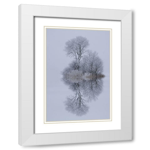 Winter Stillness White Modern Wood Framed Art Print with Double Matting by Maier, Norbert