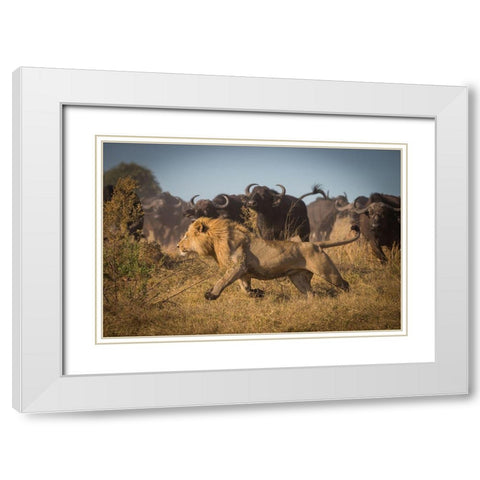 Running For His Life White Modern Wood Framed Art Print with Double Matting by Meijlaers, Marc