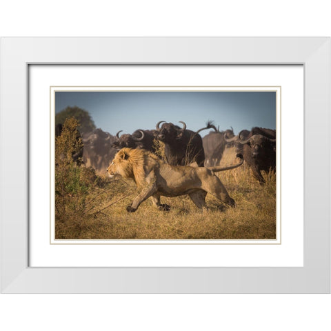 Running For His Life White Modern Wood Framed Art Print with Double Matting by Meijlaers, Marc