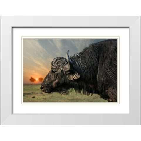 Imagine White Modern Wood Framed Art Print with Double Matting by Flour, Piet