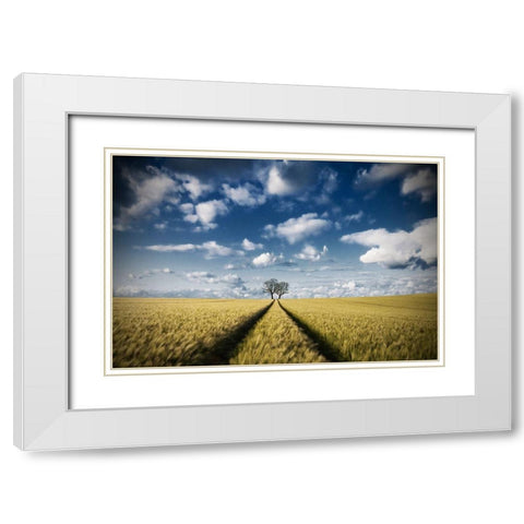 Trace A Trees 2 White Modern Wood Framed Art Print with Double Matting by Meyerdierks, Carsten