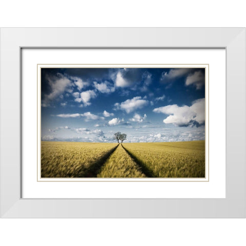 Trace A Trees 2 White Modern Wood Framed Art Print with Double Matting by Meyerdierks, Carsten