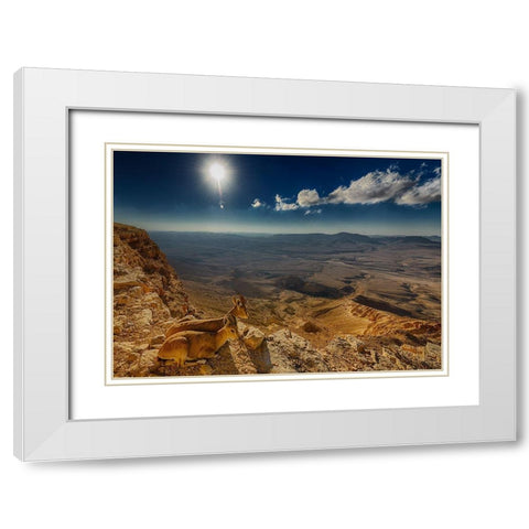 Morning View White Modern Wood Framed Art Print with Double Matting by Meirovich, Ido