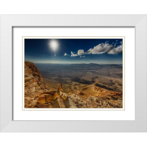 Morning View White Modern Wood Framed Art Print with Double Matting by Meirovich, Ido